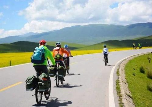 爆料骑行西藏视频大全最新,骑行视频大全带你领略壮美风光  第3张