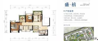 广东惠州爆料真相视频,视频揭露事件背后惊人内幕  第3张